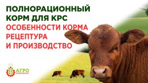 Корма для КРС. Особенность кормов и производство на примере готовой рецептуры.