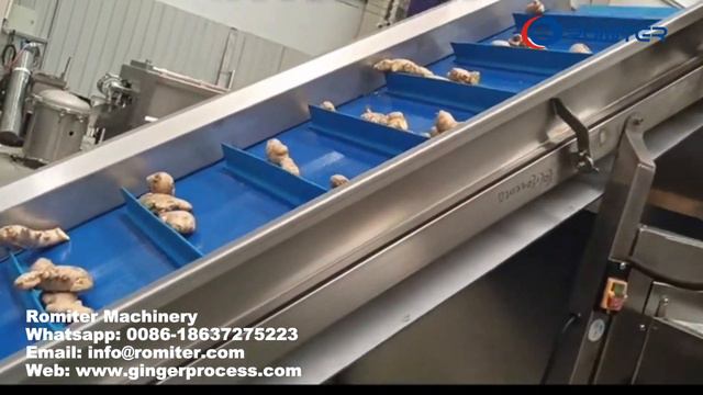 Полностью автоматическая линия по производству сушеных ломтиков имбиря смотреть онлайн