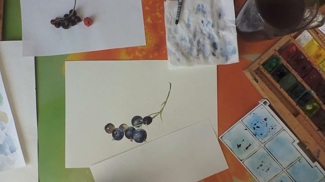 Картина акварелью. Смородина и малина. Speed painting. смотреть онлайн