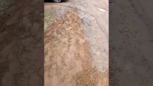 Сломало полуось МТЗ 82