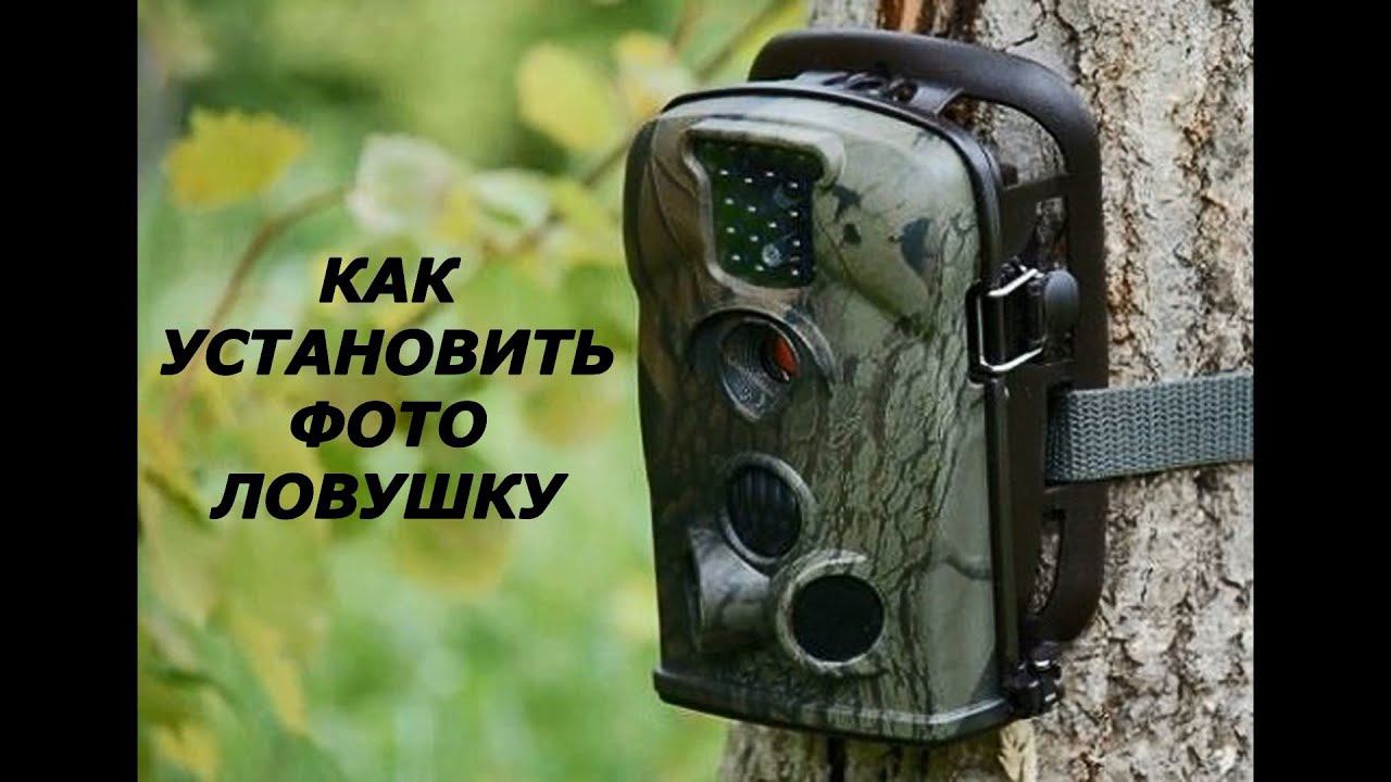 Как установить Фотоловушку