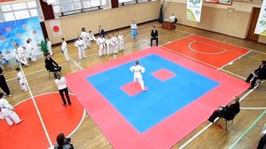 ката девочки 10-11 лет