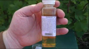 Чтобы в августе ягоды не гнили - эту обработку нужно сделать уже сейчас