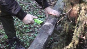 Стройка лесной хижины.Начало строительства.