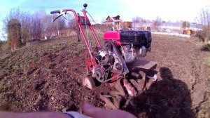 Сидераты заделка в почву. Как я победил проволочника и  паршу. Задний ход на мотокультиваторе.