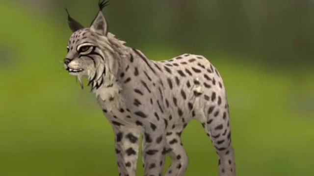 Прикол вилд крафт алкаш и инопланетяне смотреть онлайн