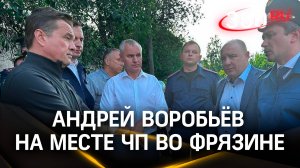 Андрей Воробьев о пожаре во Фрязине и работе МЧС