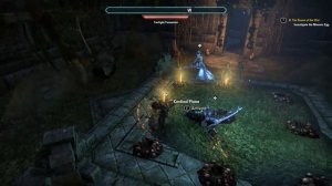ESO: The dream of the Hist Puzzle (Investigate the Mnemic Egg/ Shadowfen)
