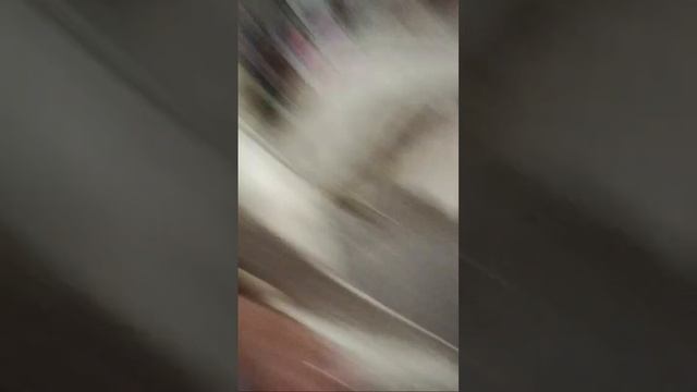 Kalingap Emerita Sario is live! ANUNG LATEST MGA KA BABY😘? смотреть онлайн