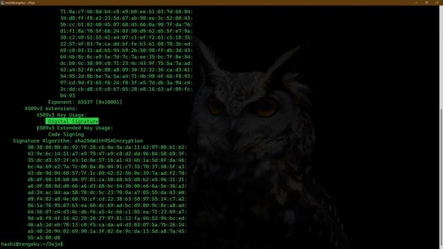 OpenSSL Tutorial Video-7 | Generating Digital Certificates Using OpenSSL