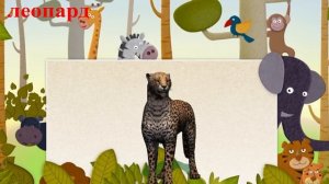 Стихи для детей  Лев, зебра, леопард, орёл, тигр