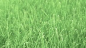 Такое Сотворили Люди Которые Впервые Попробовали Лепить!