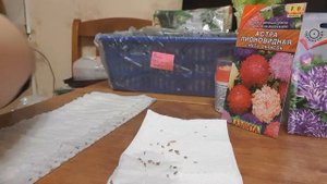 СЕЕМ АСТРУ В САМОКРУТКУ