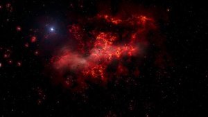 Биоцентризм: Вселенная Златовласки (глава 7-8)