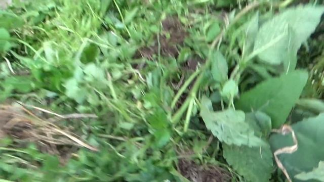 Готовим компост смотреть онлайн