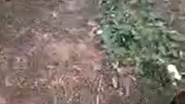 Меняем масло с минерального на полусинтетическое.
