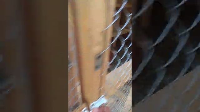 Сарай для индоуток своими руками от Елены Петровны смотреть онлайн