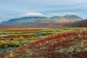 Артём Гельман - Российский север