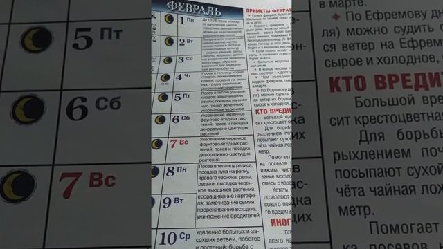 ЛУННЫЙ ПОСЕВНОЙ КАЛЕНДАРЬ НА 2021 ФЕВРАЛЬ смотреть онлайн