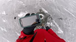 ЗИМНЯЯ РЫБАЛКА  СО ЛЬДА !  ДИПЕР ПРО +