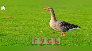 Спасение животных и составление слов в игре Учись читать, спасай зверей #1