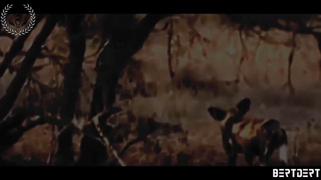 ОПАСНЫЕ ЖИВОТНЫЕ ВИДЕОСИСТЕМЫ ЖИВОЙ 2018 смотреть онлайн