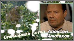 Алексей Маклаков — Сломанная ветка