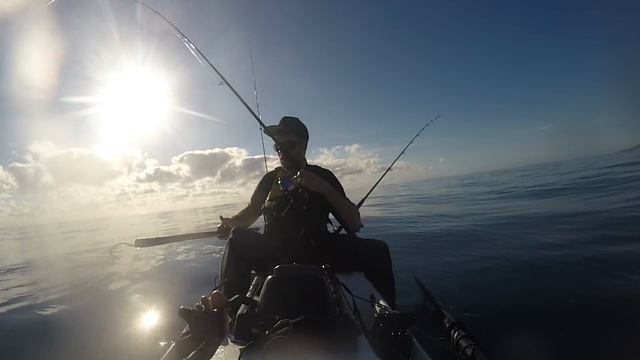 Double Island Yellowfin, Marlin & Macks. смотреть онлайн