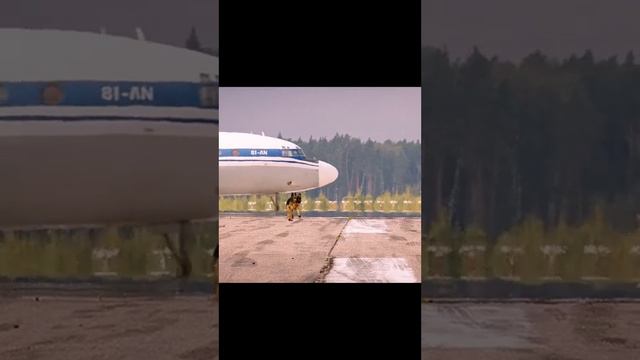 palma the dog смотреть онлайн