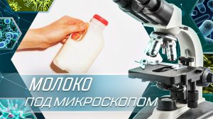 Молоко под микроскопом.