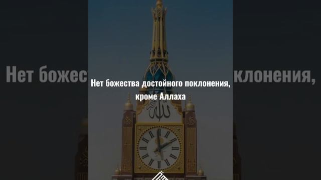 Шейх Фаузан даёт Такбир