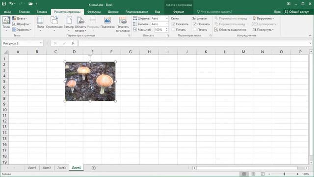 Как в Excel привязать картинку к сетке смотреть онлайн