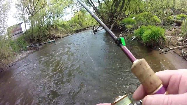 FAMILY FISHING #93# Весенние Голавлики 2022 смотреть онлайн