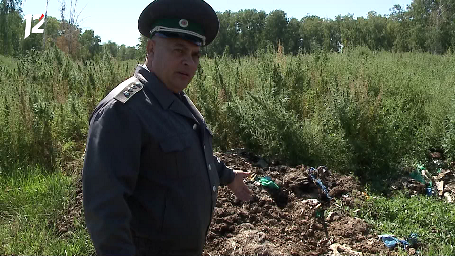 Новости 12. Новости 12. Здание горит. 8 24. Россельхознадзор для сотрудников.