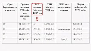 Развитие Плода 10 -14 Неделя Беременности. Скрининг 1 Триместра.