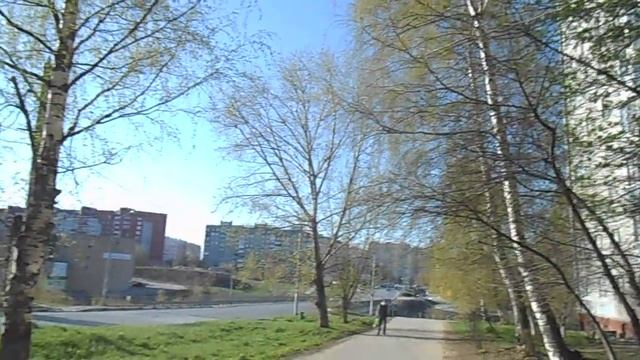 Нижний Новгород | скворец под берёзой смотреть онлайн