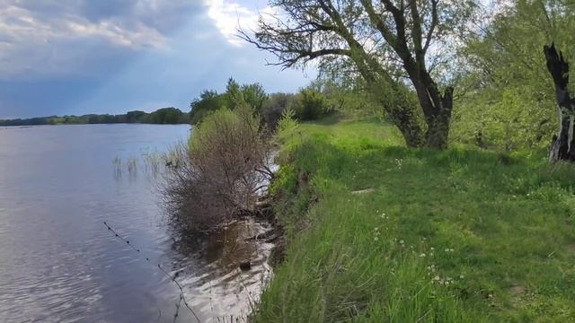 Ахтуба сегодня. смотреть онлайн