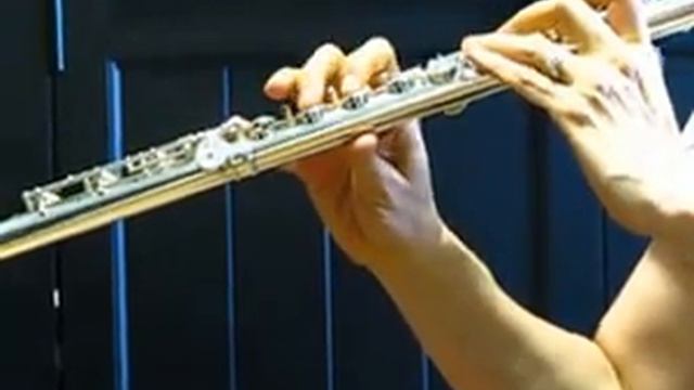 Miyazawa Classic (Vision) Flute For Sale (Used) - Low Mid Range Demo смотреть онлайн