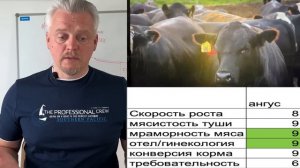 Какая мясная порода лучше?