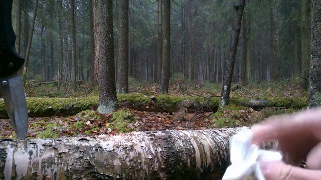 Разведение огня с помощью МАРГАНЦОВКИ