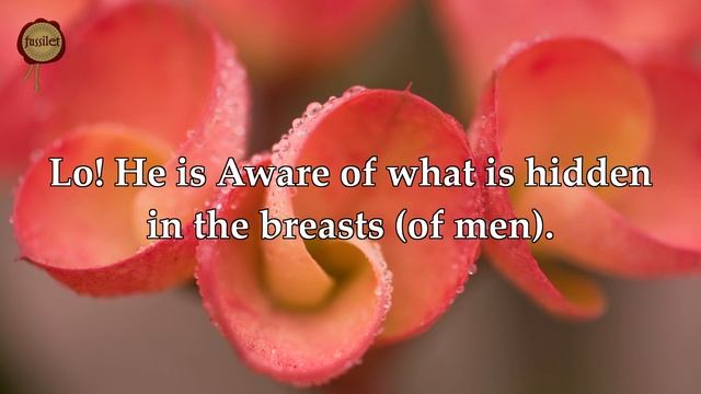 Surah Shuraa - Nasser al Qatami смотреть онлайн