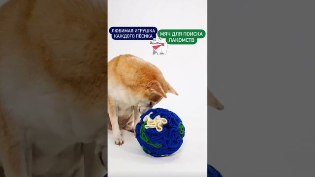 НЮХАТЕЛЬНЫЙ МЯЧ для собачек всех пород смотреть онлайн