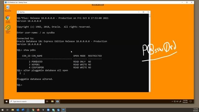 Oracle XE 18C Simple Install with PDB смотреть онлайн