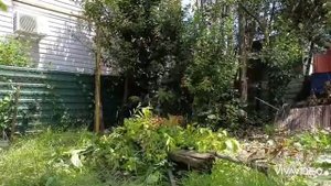 своими руками расчистка участка от деревьев , травы и кустов - Колян машина ?