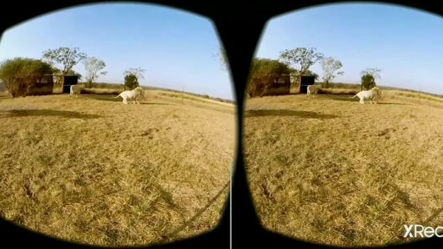 Видео для Vr очков ?