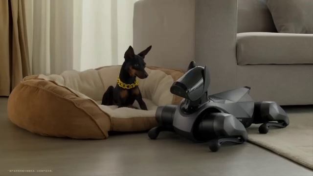 Xiaomi CyberDog 2 – робопес с ИИ по цене $1790