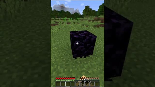 Mining Obsidian With Fist And Mining Fatigue 3 (Minecraft Fact) Dream SMP Prison