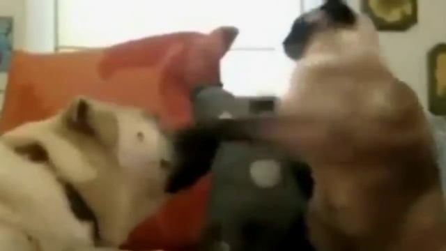 Ты придёшь....прикольн