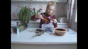 Как сохранить купленные саженцы до посадки в грунт