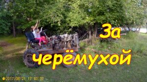 За черёмухой на тракторе,  или как правильно молоть черёмуху